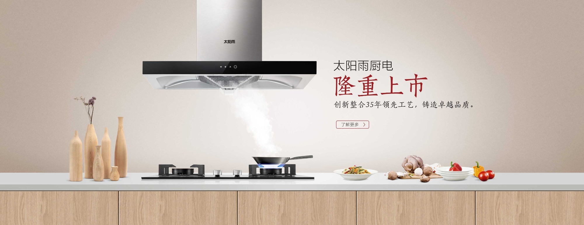 太阳雨太阳能|太阳能热水器|燃气热水器|电热水器|抽油烟机|燃气灶具