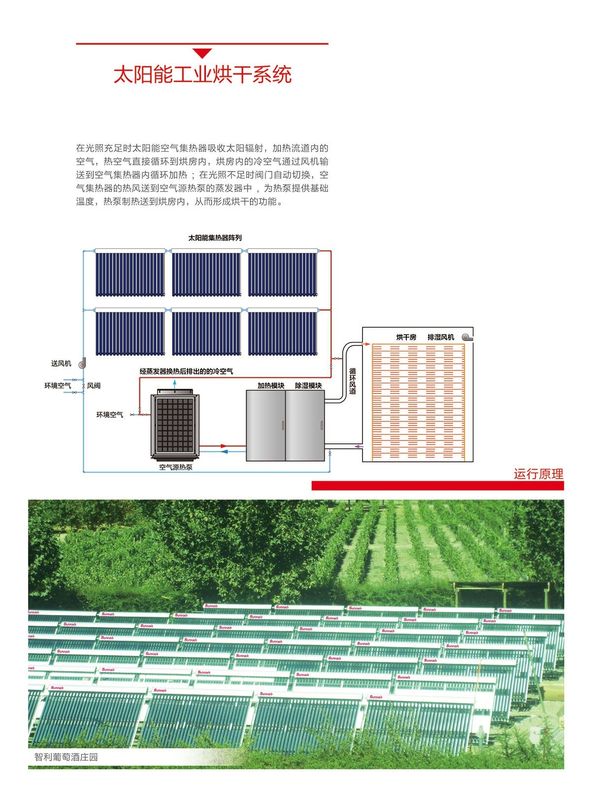 太阳雨太阳能|太阳能热水器|燃气热水器|电热水器|抽油烟机|燃气灶具