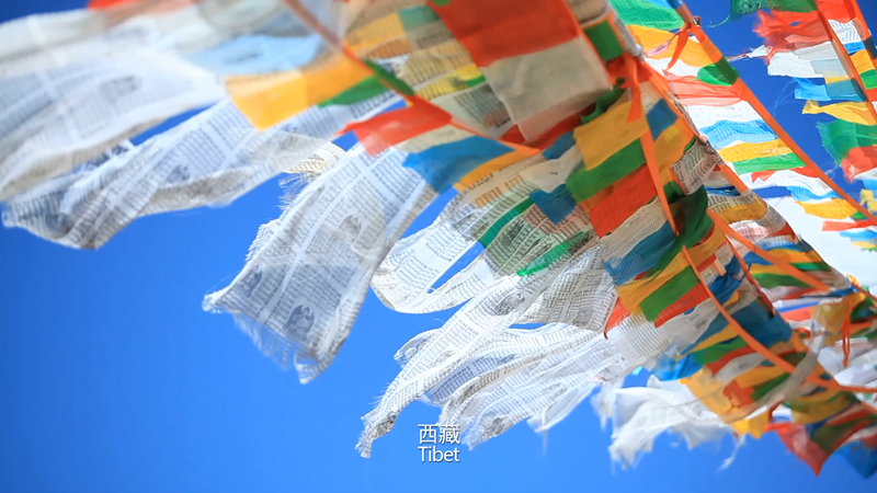 西藏盲校公益项目