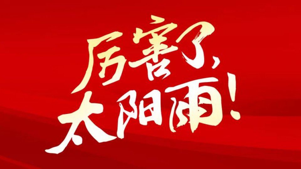 等了6年，它终于从清华大学回到了太阳雨。