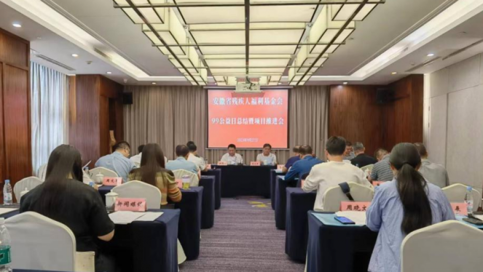 太阳雨应邀参加安徽省残疾人福利基金会项目推进会